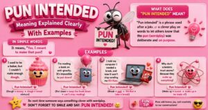 Pun Intended Meaning